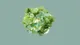 Ai and greenery connected together